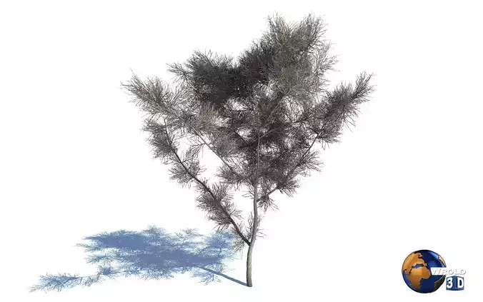 Realistic Dead Tree 3d model