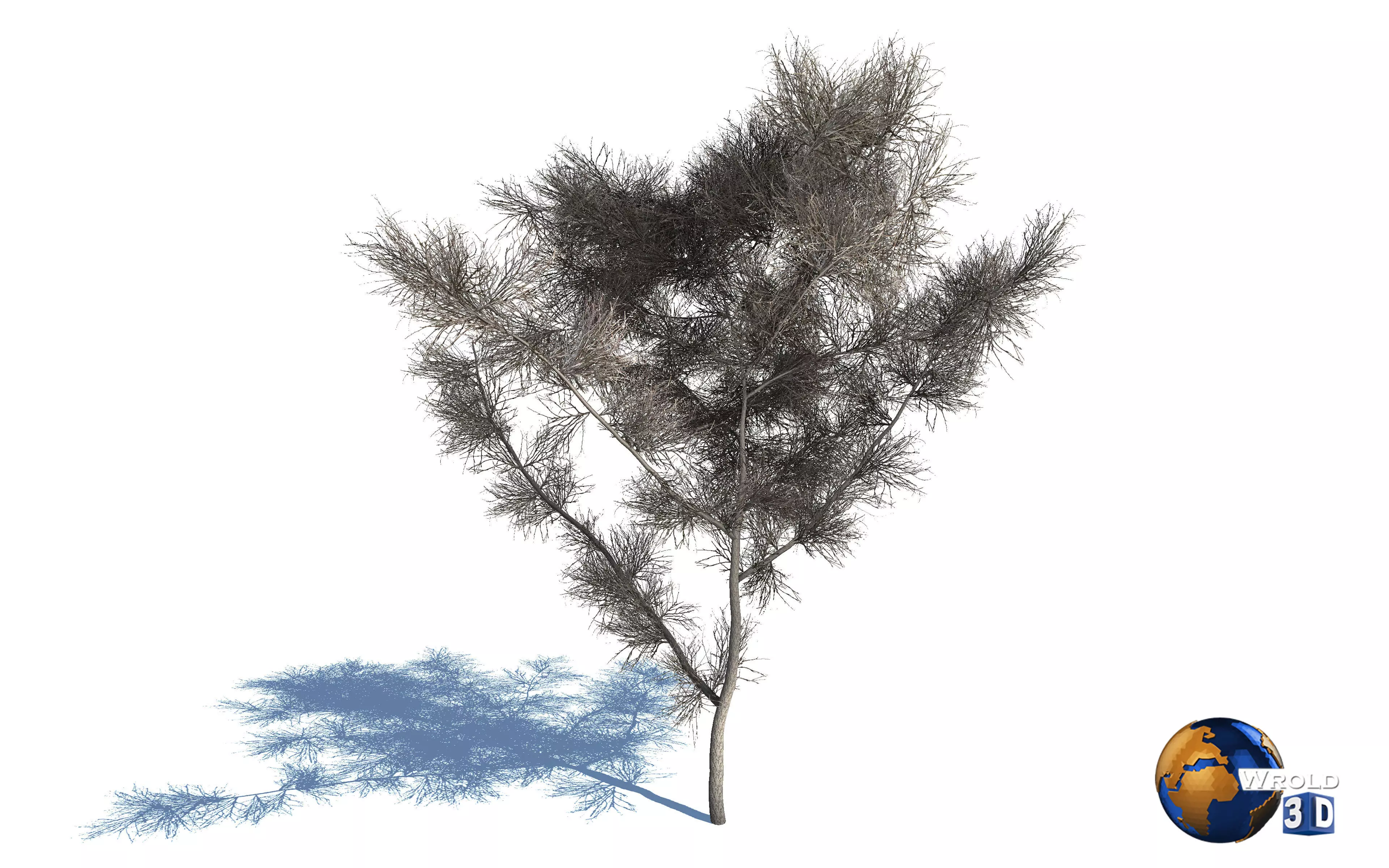 Realistic Dead Tree 3d model Low-poly 3D model_0