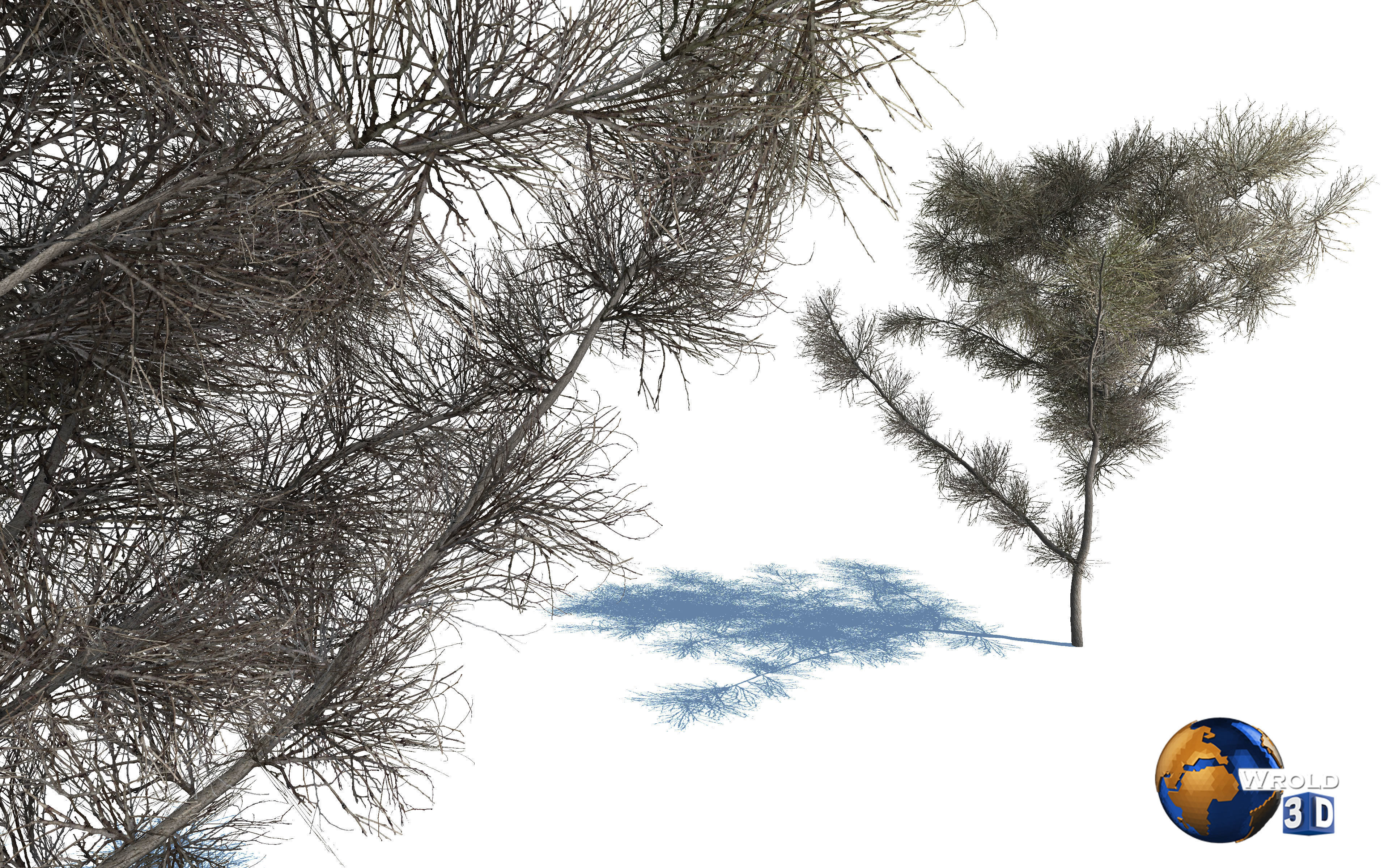 Realistic Dead Tree 3d model Low-poly 3D model_1