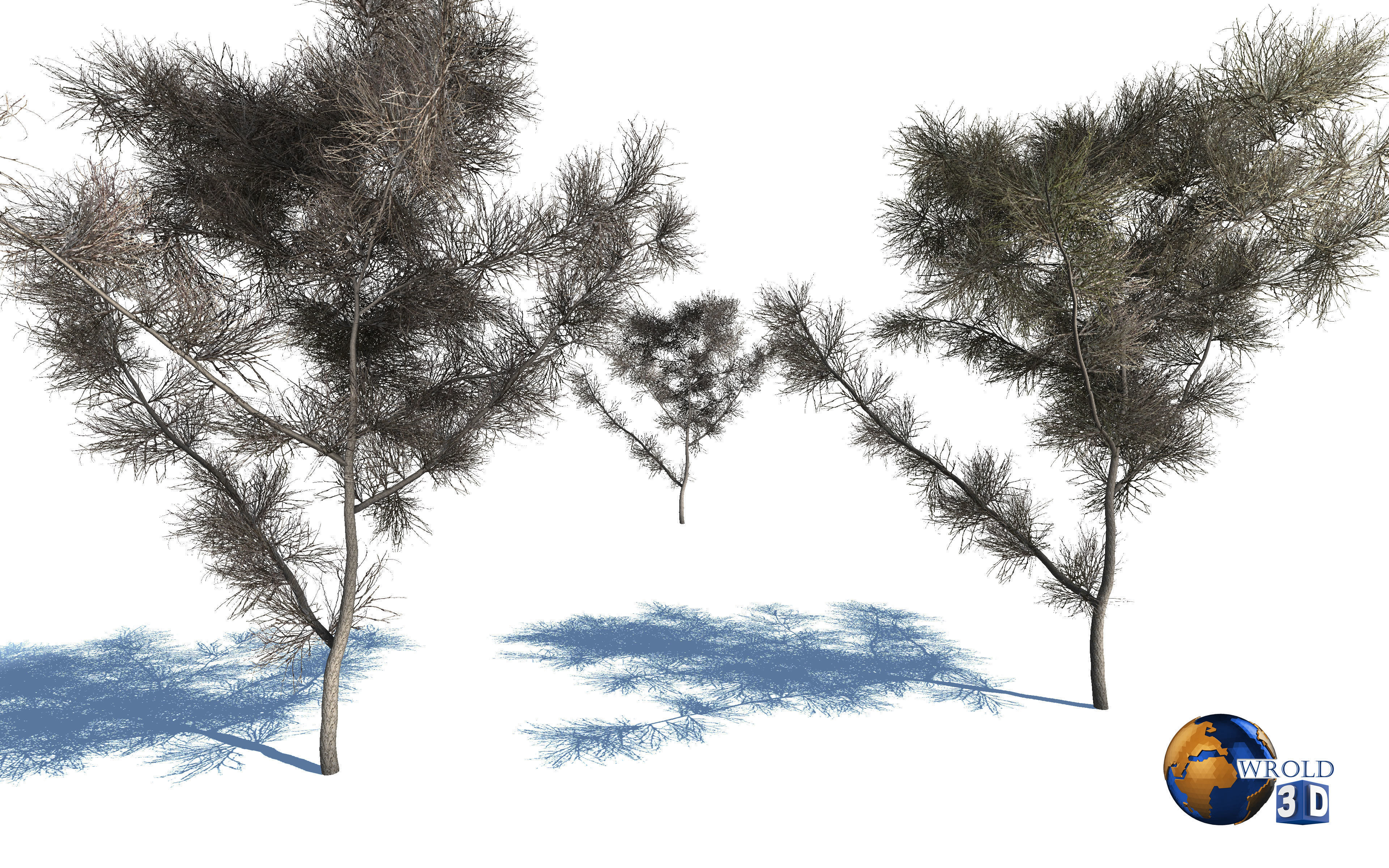 Realistic Dead Tree 3d model Low-poly 3D model_4