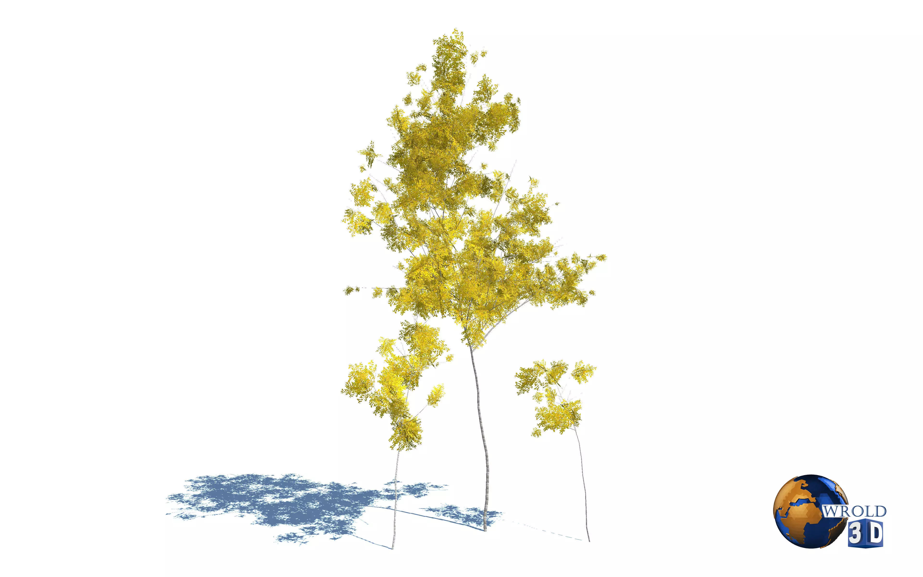 tree yellow leaf realistic forest tree 3d model Low-poly 3D model_0