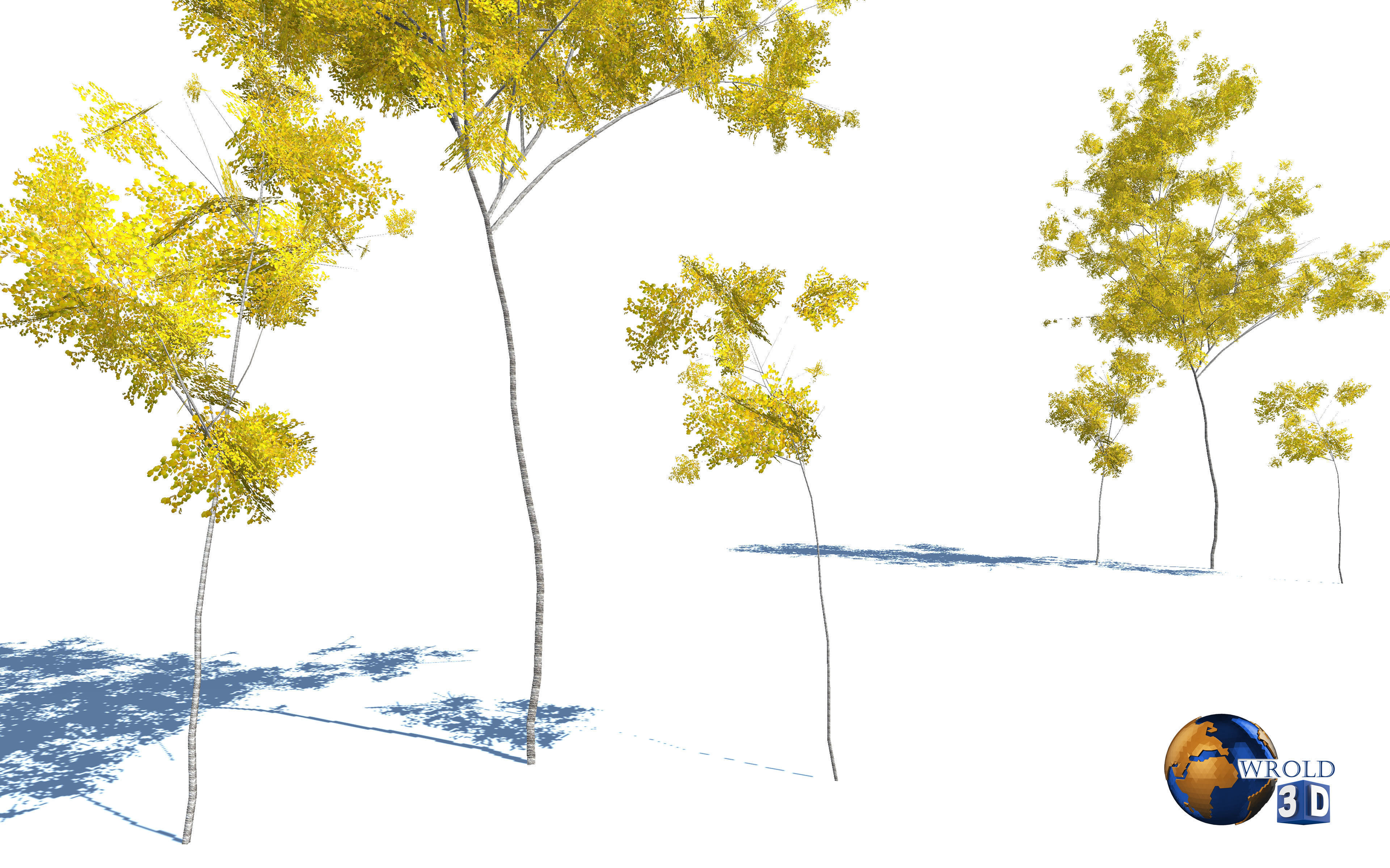 tree yellow leaf realistic forest tree 3d model Low-poly 3D model_2