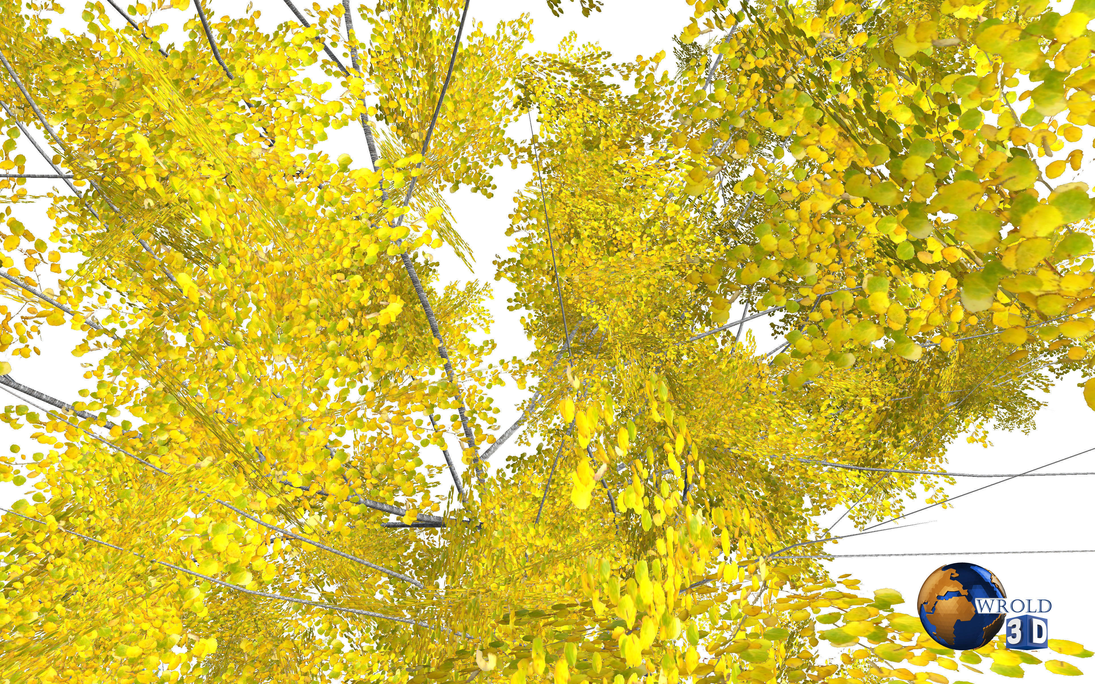 tree yellow leaf realistic forest tree 3d model Low-poly 3D model_1