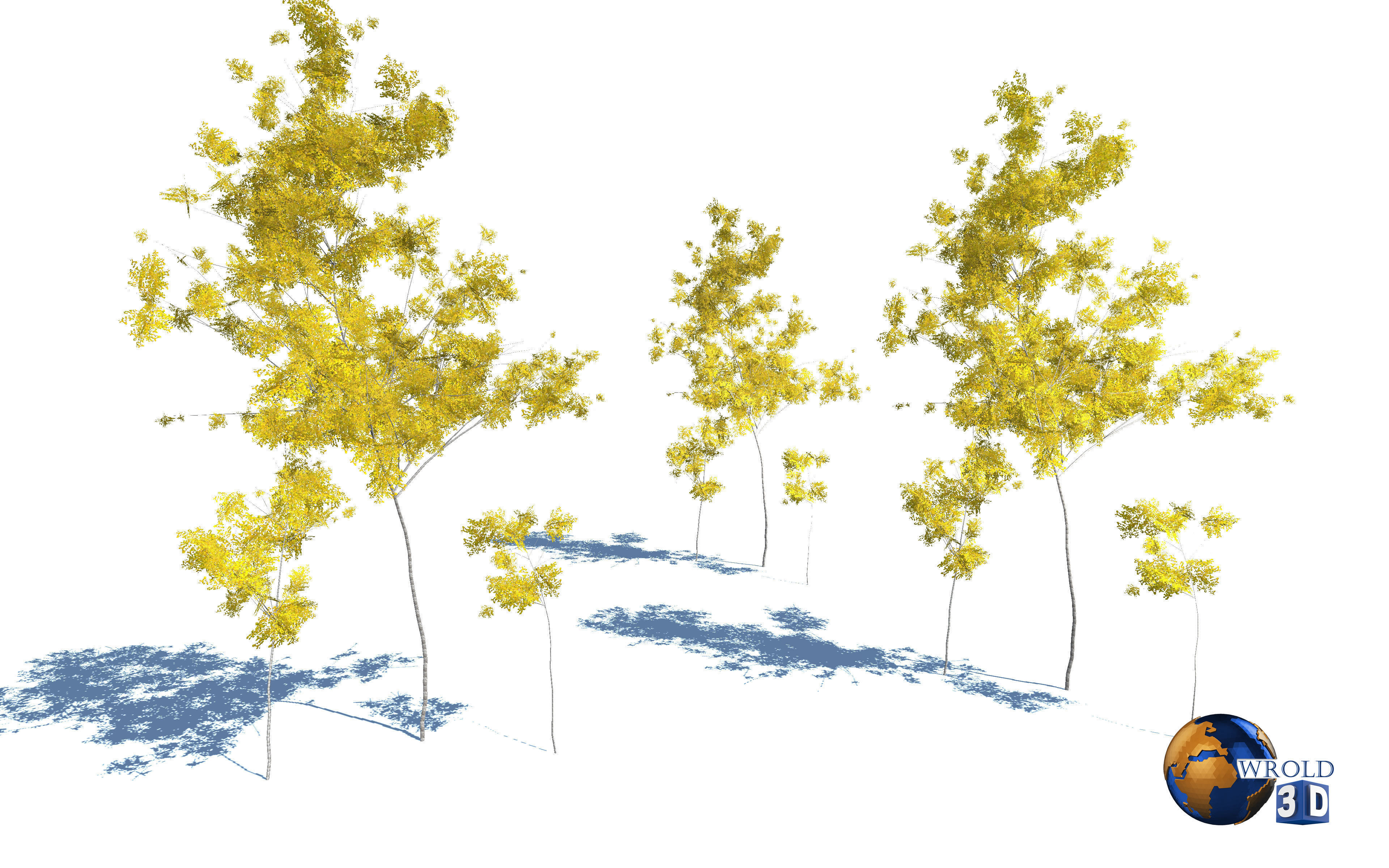 tree yellow leaf realistic forest tree 3d model Low-poly 3D model_4
