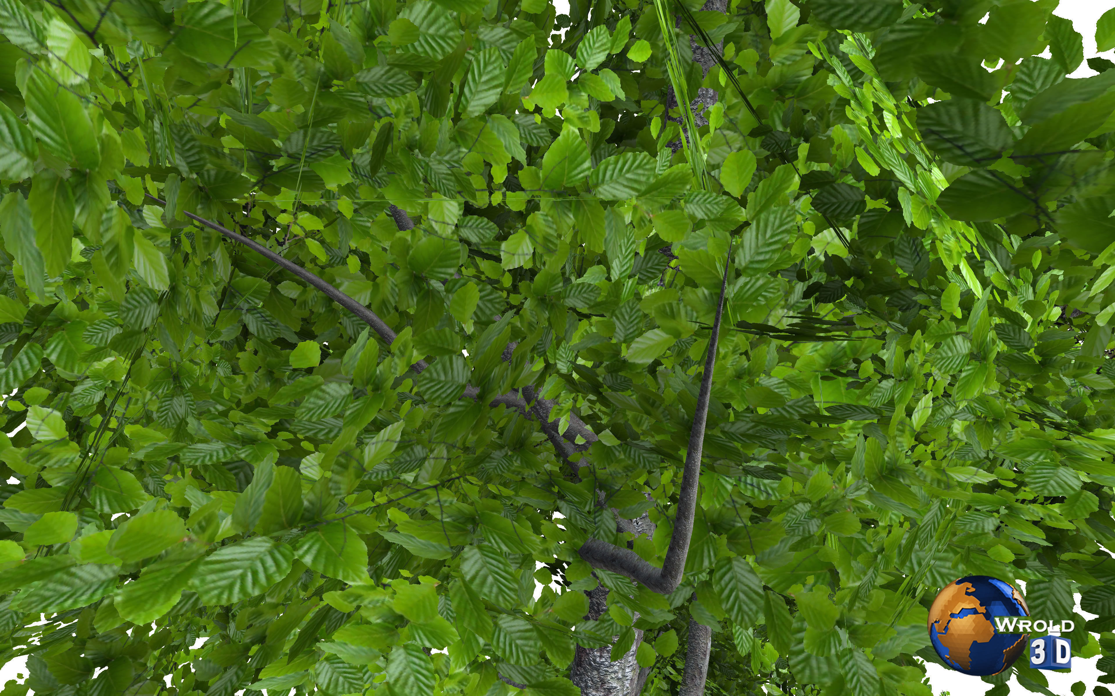 Tree Nature Forest Environment 3d model Low-poly 3D model_1