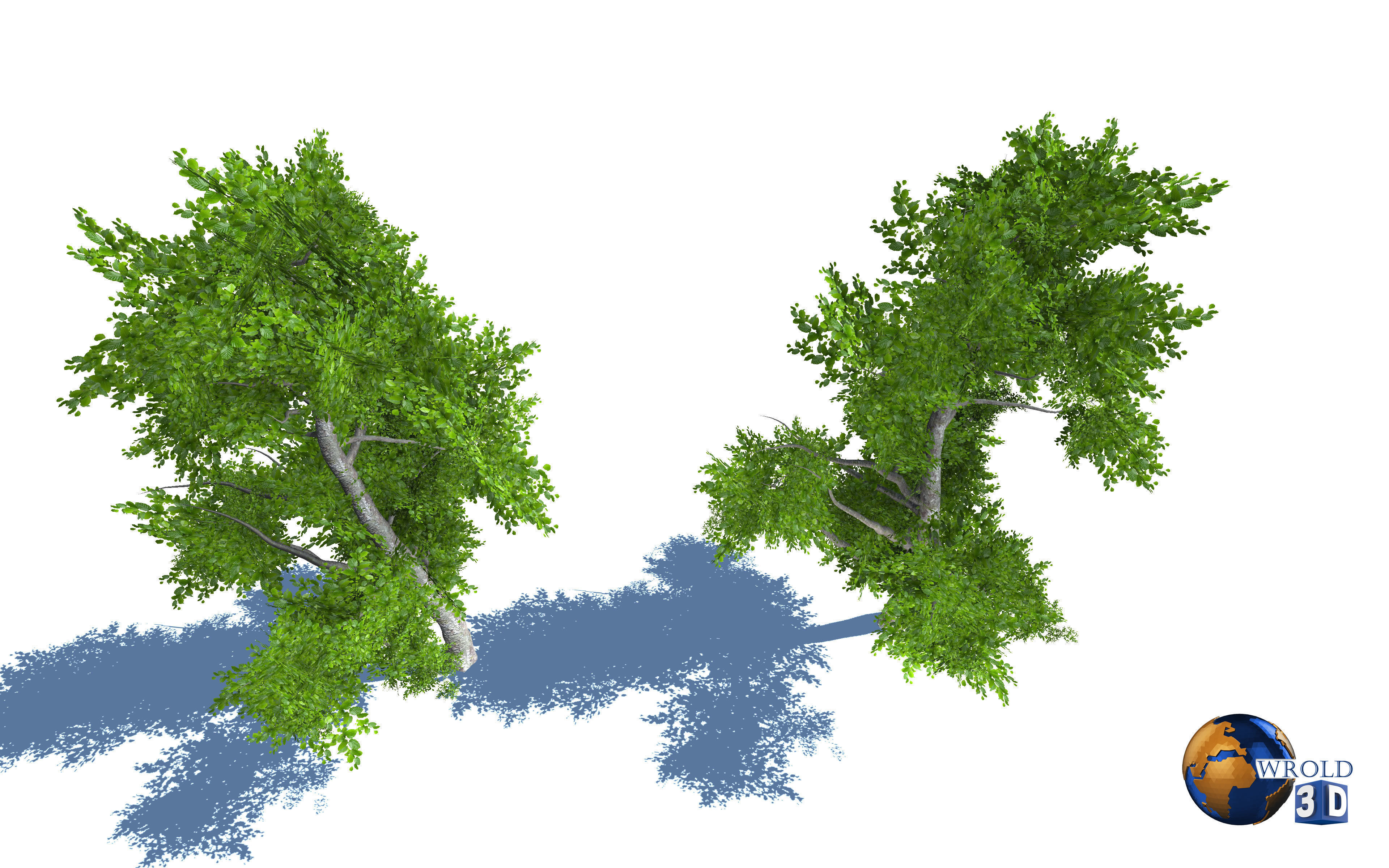 Tree Nature Forest Environment 3d model Low-poly 3D model_3