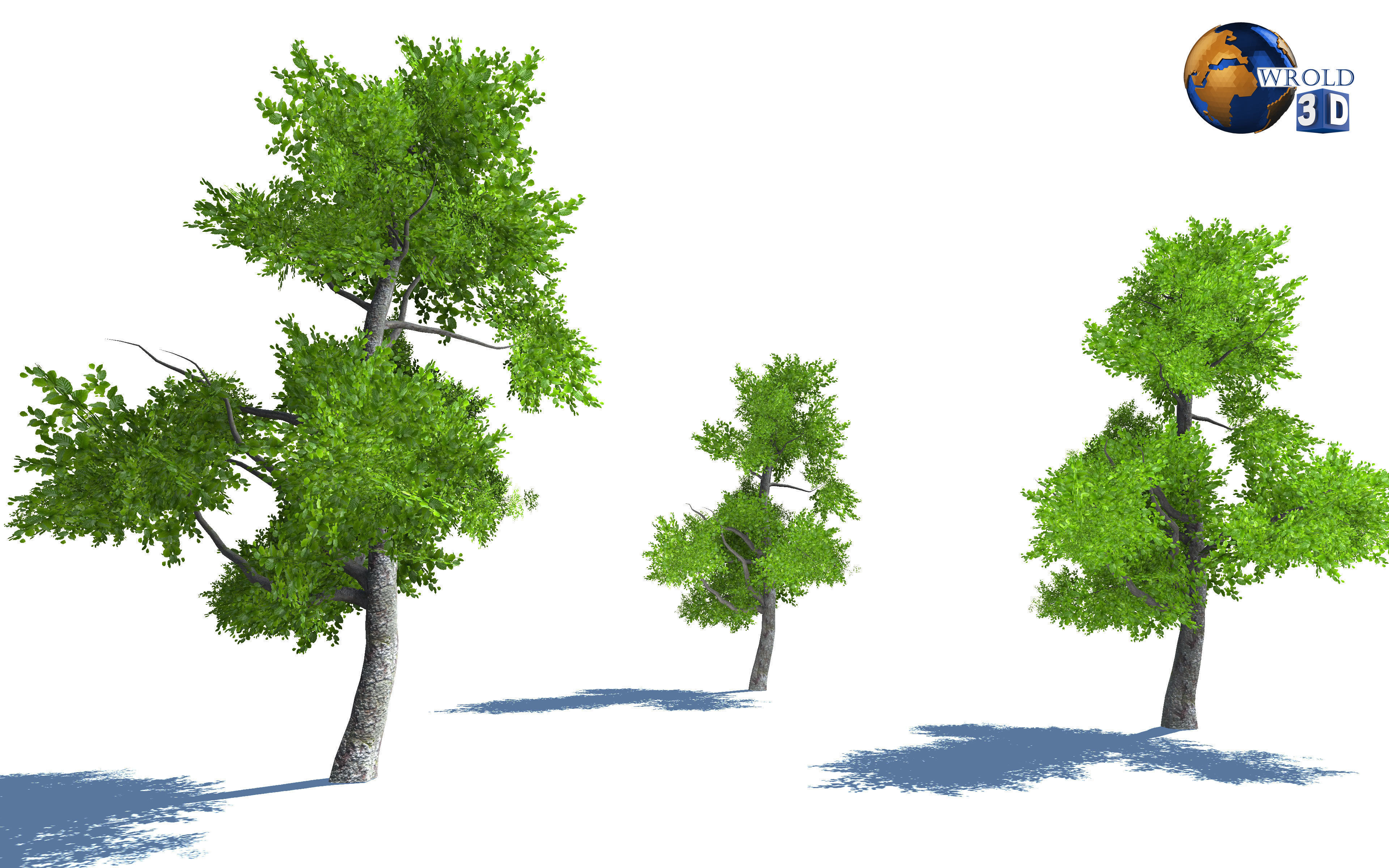 Tree Nature Forest Environment 3d model Low-poly 3D model_4