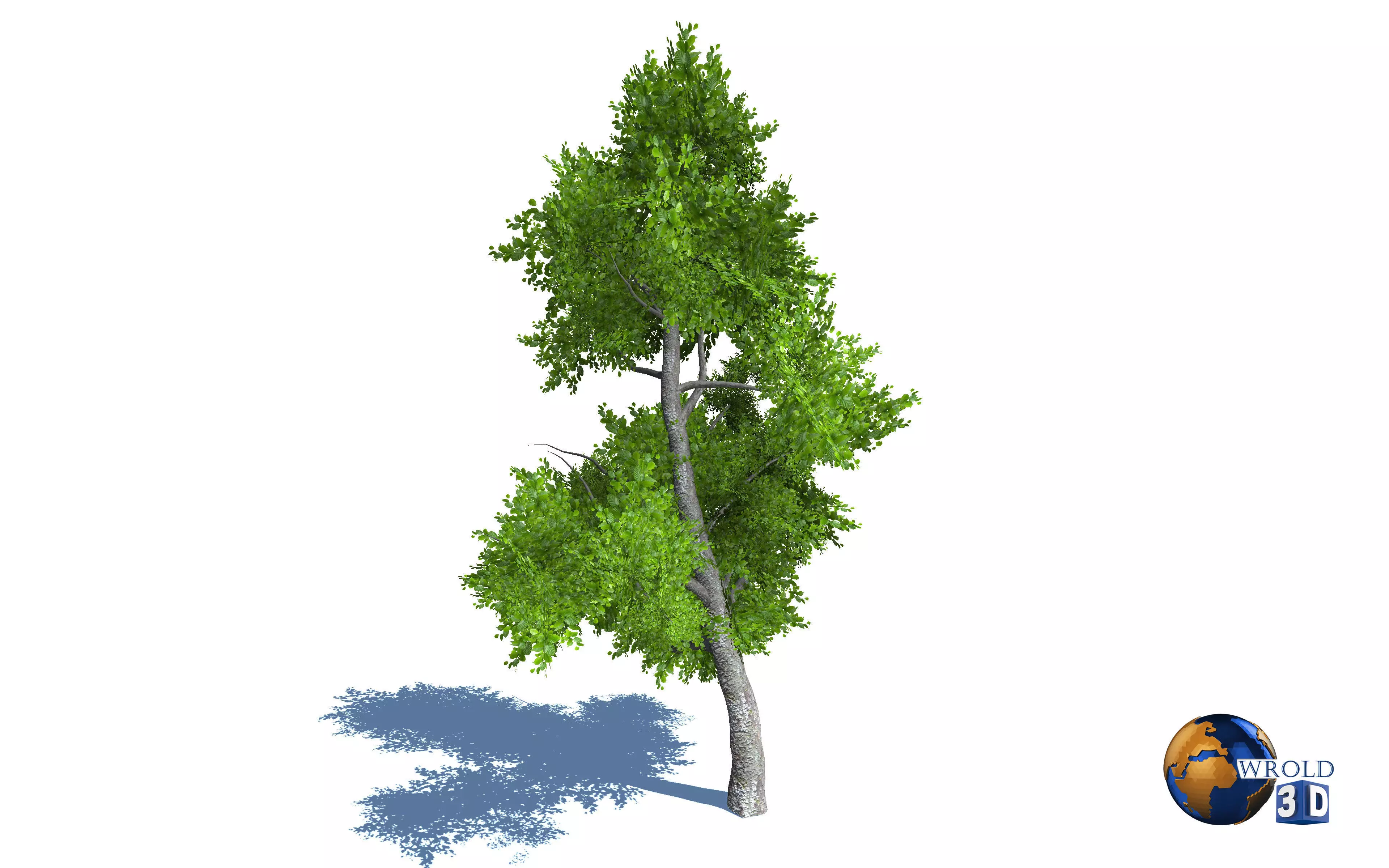 Tree Nature Forest Environment 3d model Low-poly 3D model_0