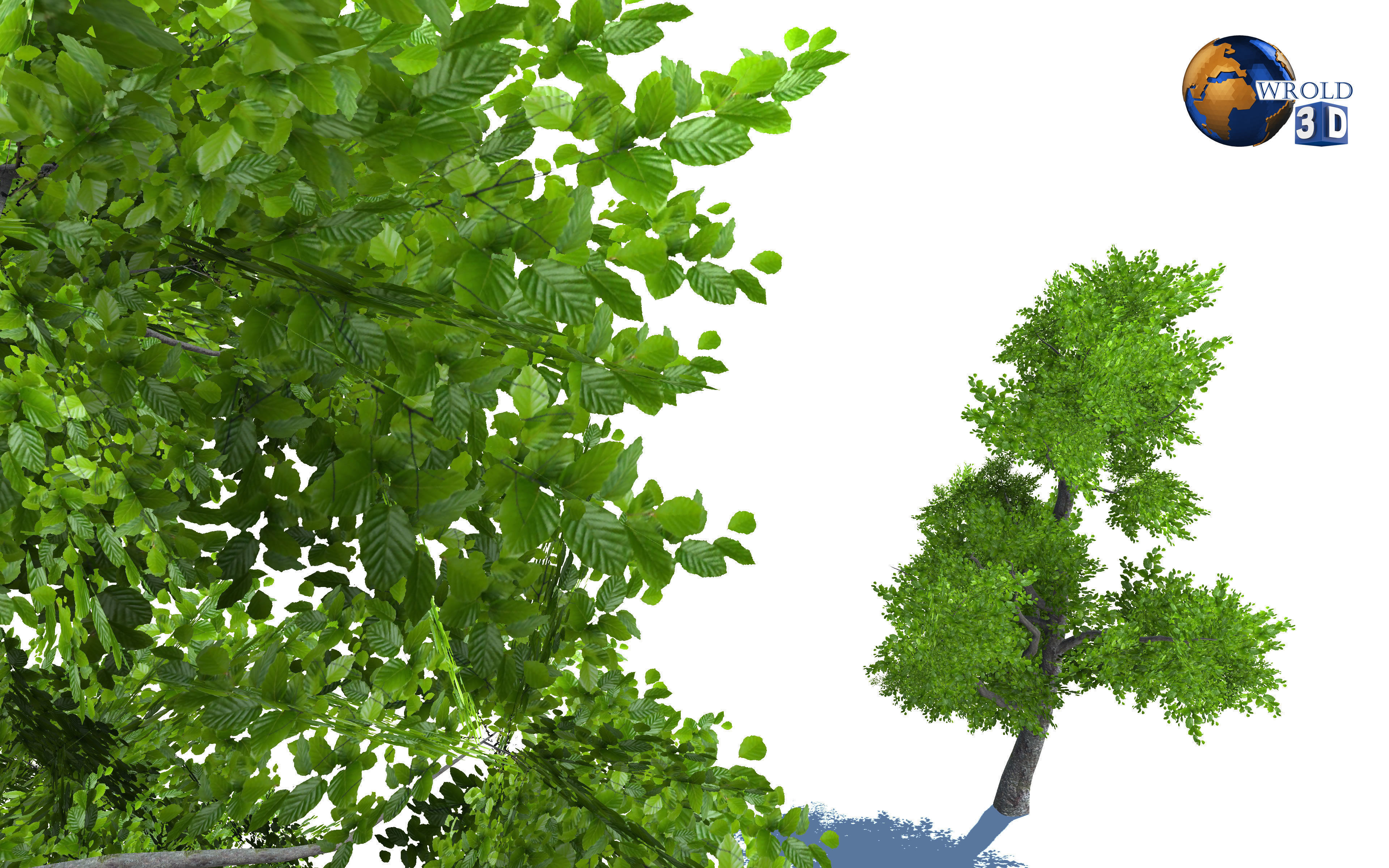 Tree Nature Forest Environment 3d model Low-poly 3D model_2