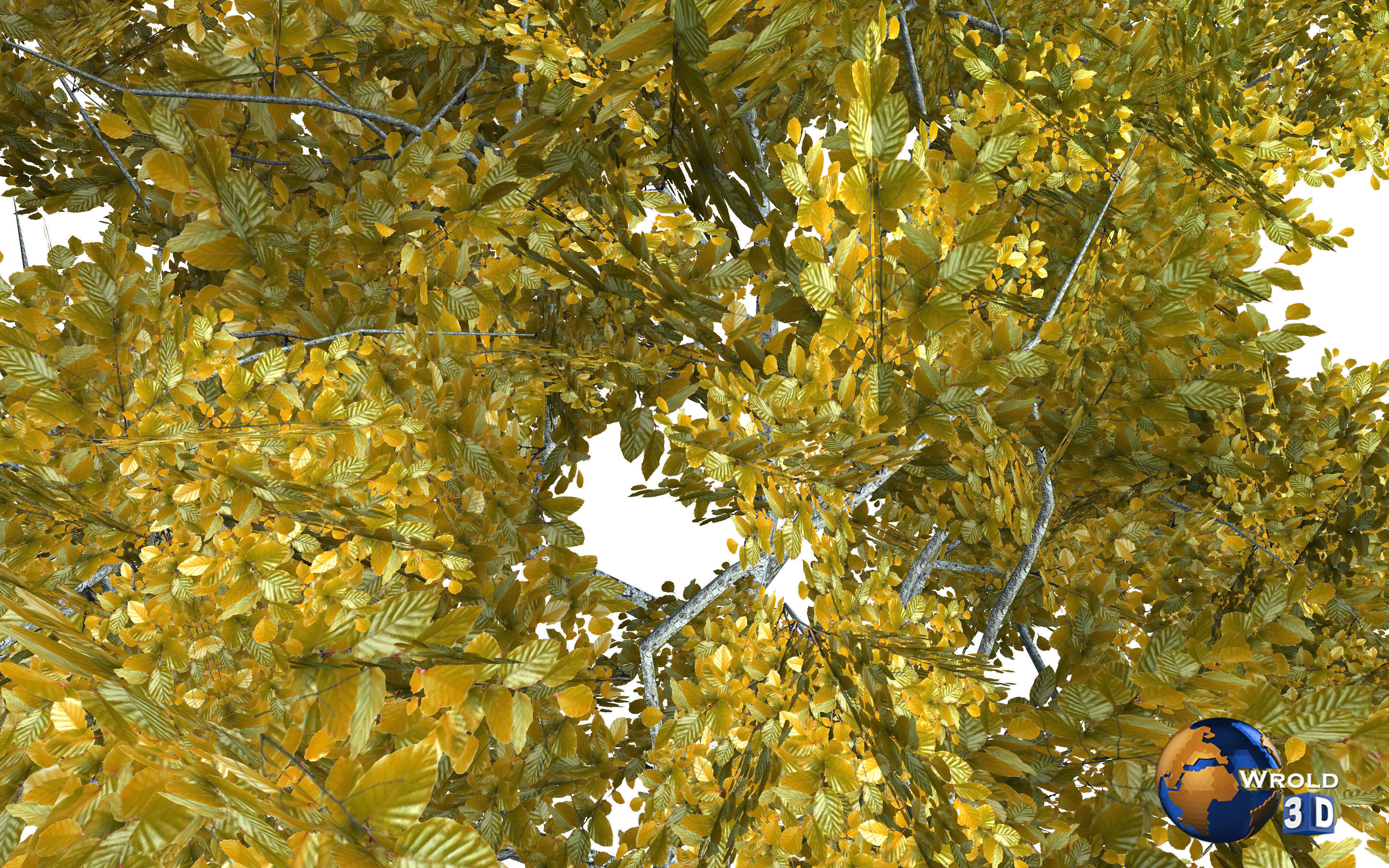 Realistic Colorful Tree Nature Environment 3d model Low-poly 3D model_1