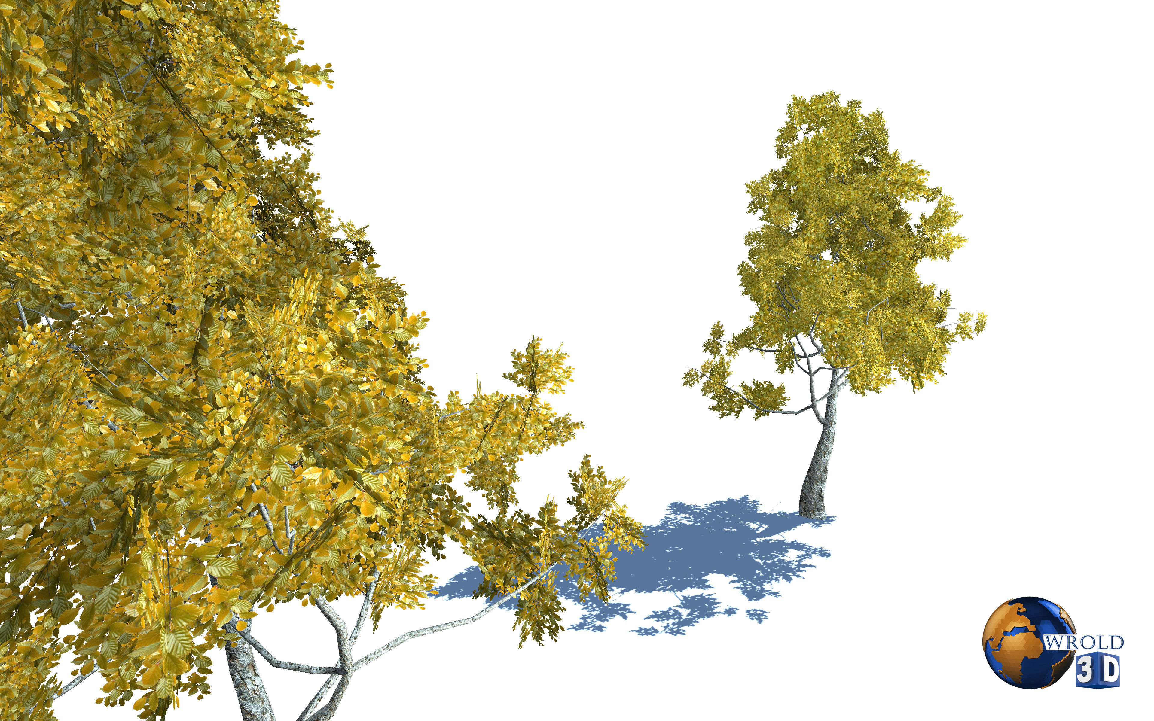 Realistic Colorful Tree Nature Environment 3d model Low-poly 3D model_4