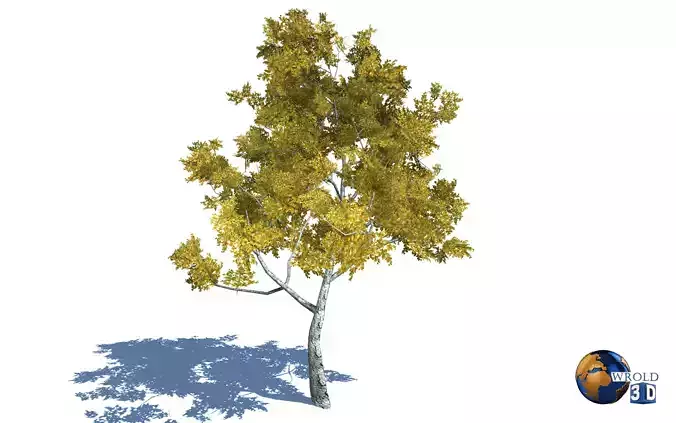 Realistic Colorful Tree Nature Environment 3d model