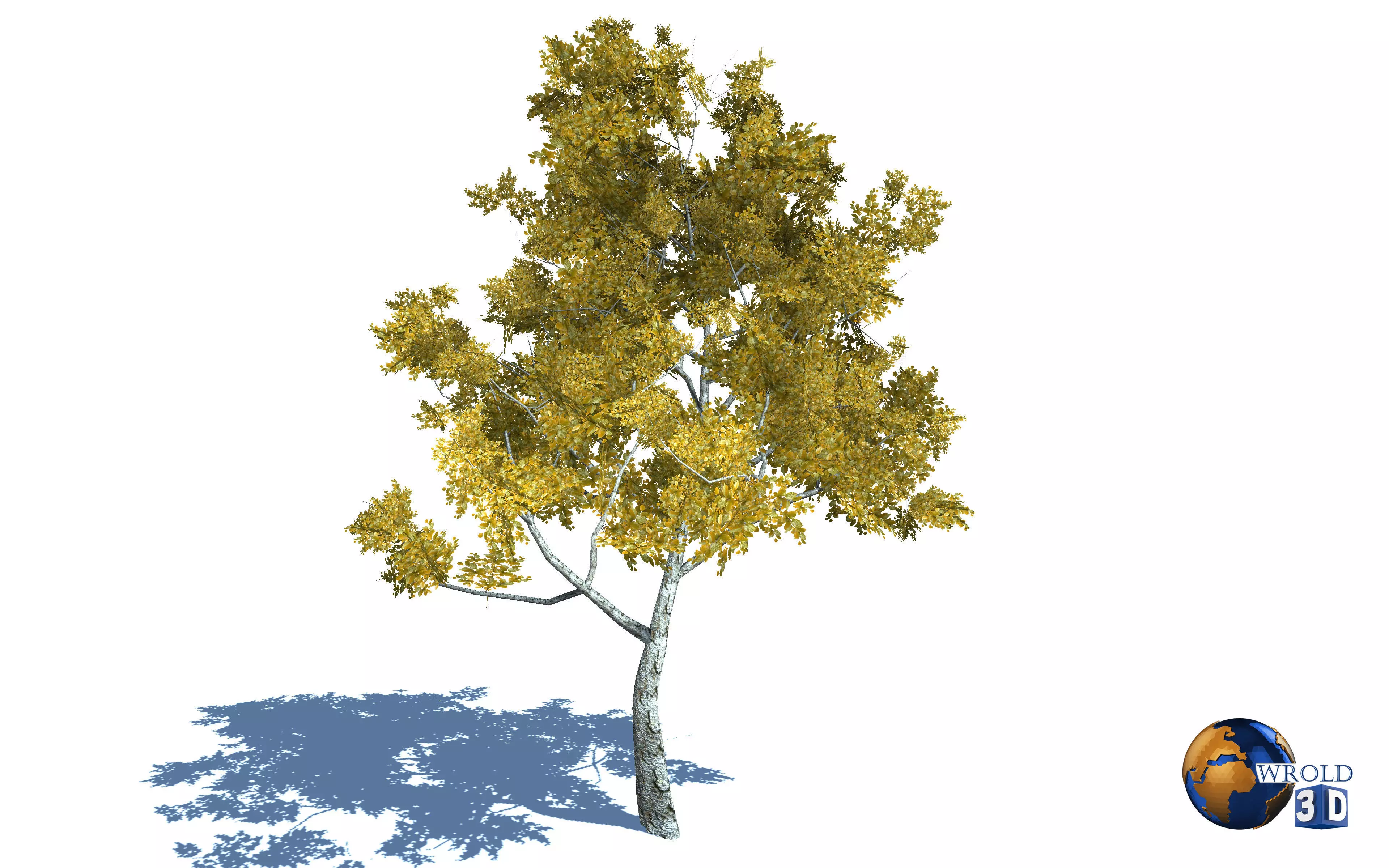 Realistic Colorful Tree Nature Environment 3d model Low-poly 3D model_0