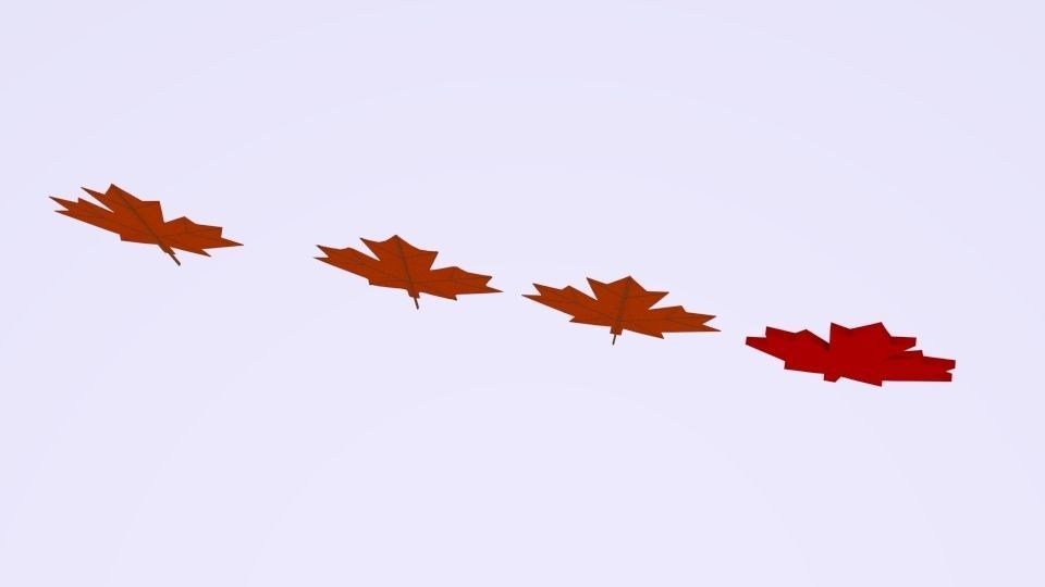 Maple Canada 3D model_3