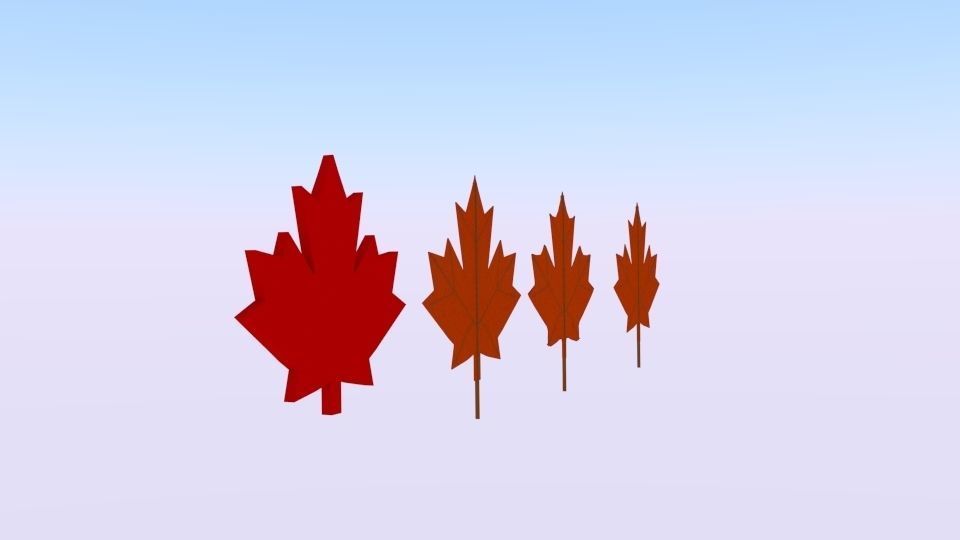 Maple Canada 3D model_1