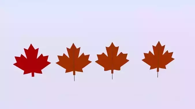 Maple Canada