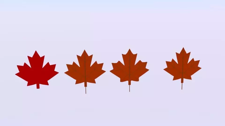 Maple Canada 3D model_0