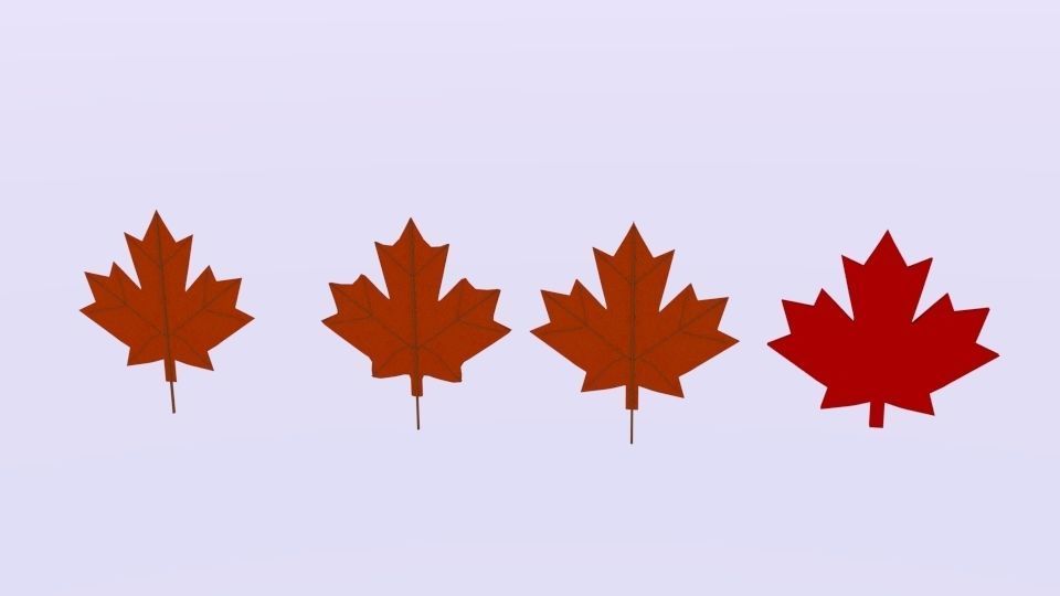 Maple Canada 3D model_2