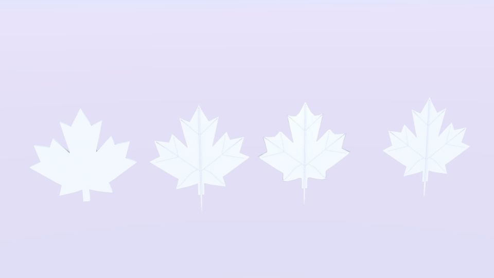 Maple Canada 3D model_4