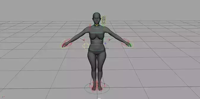 Girl Rigged Model