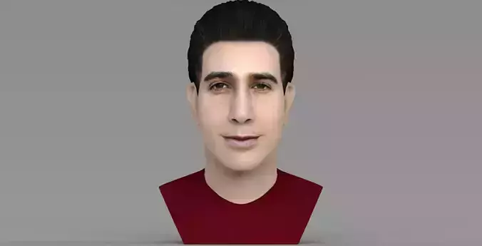 Ross Geller from Friends bust ready for full color 3D printing 3D print model