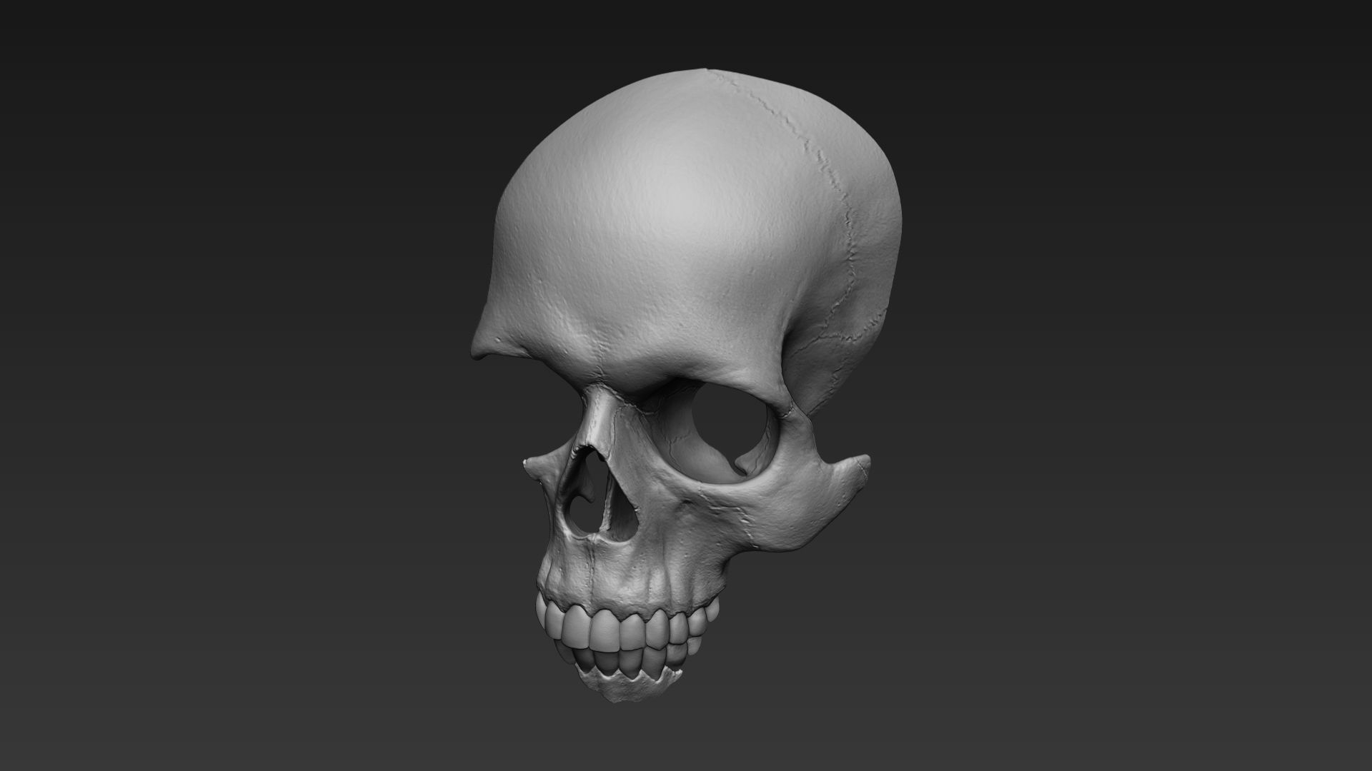 Skulls - Wall Decoration 3D print model_16