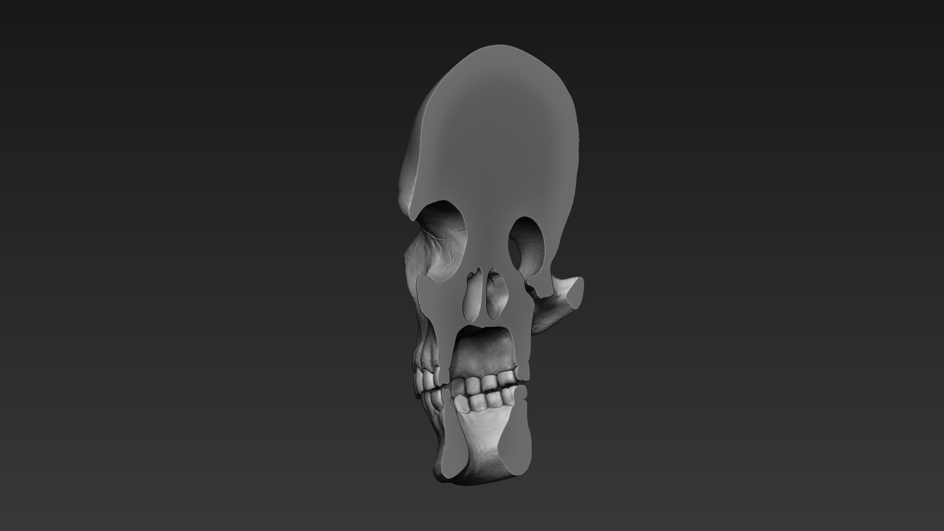 Skulls - Wall Decoration 3D print model_11