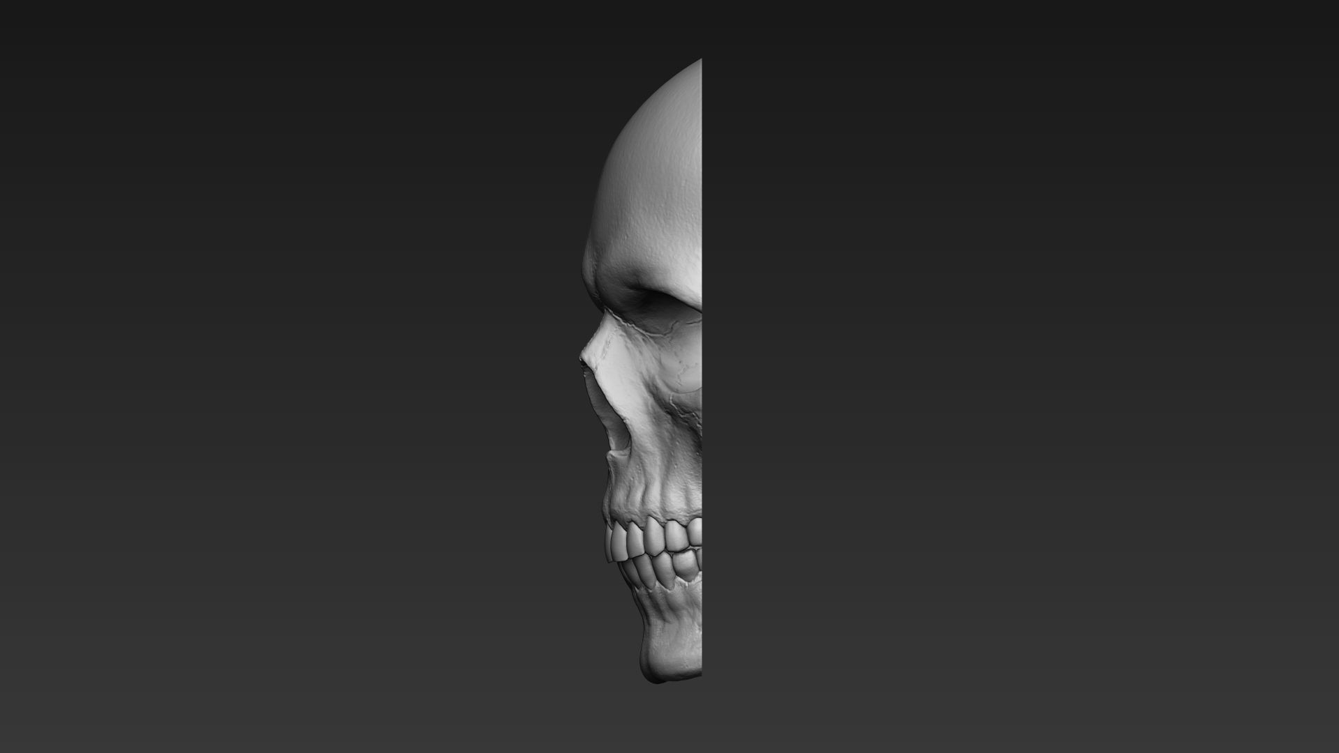 Skulls - Wall Decoration 3D print model_10
