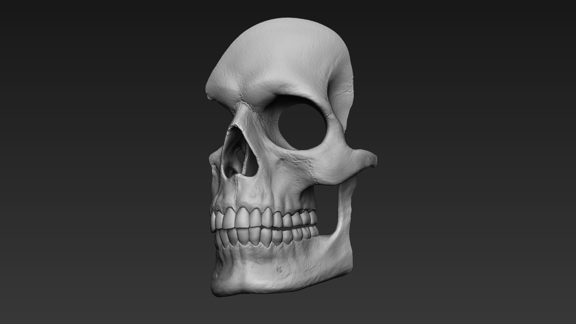 Skulls - Wall Decoration 3D print model_20