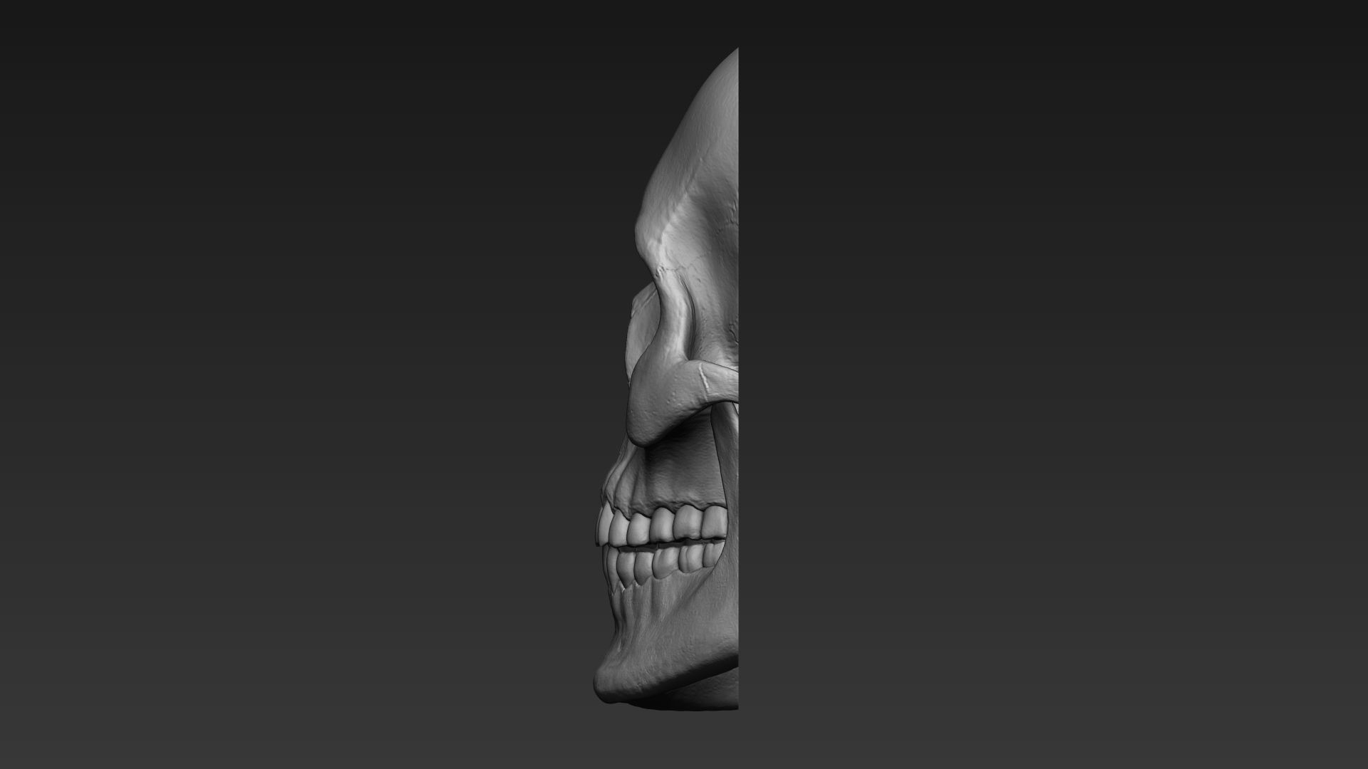 Skulls - Wall Decoration 3D print model_22