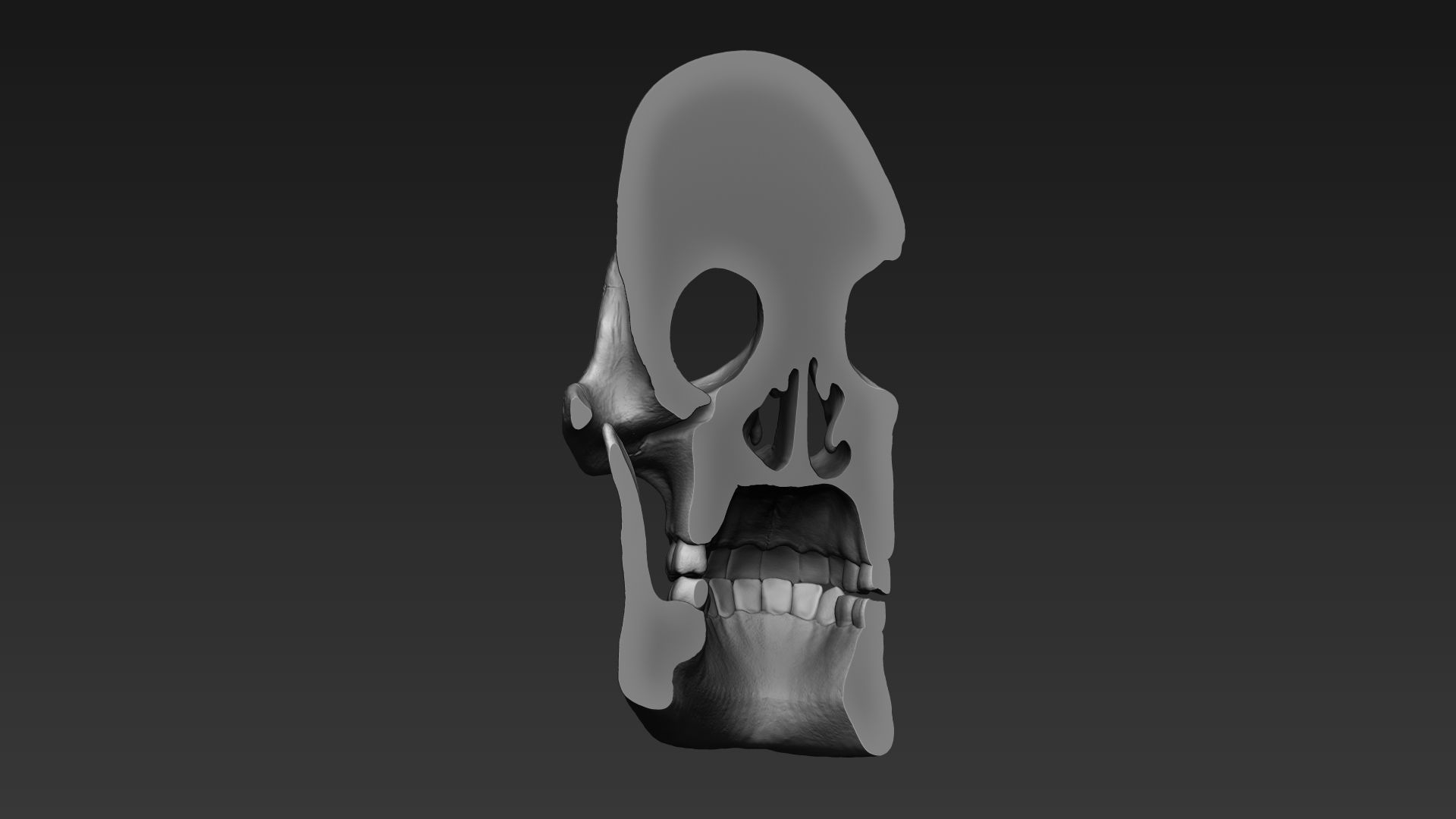 Skulls - Wall Decoration 3D print model_23
