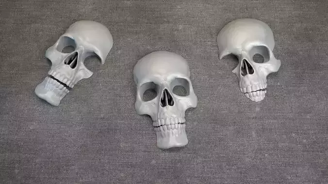 Skulls - Wall Decoration 3D print model