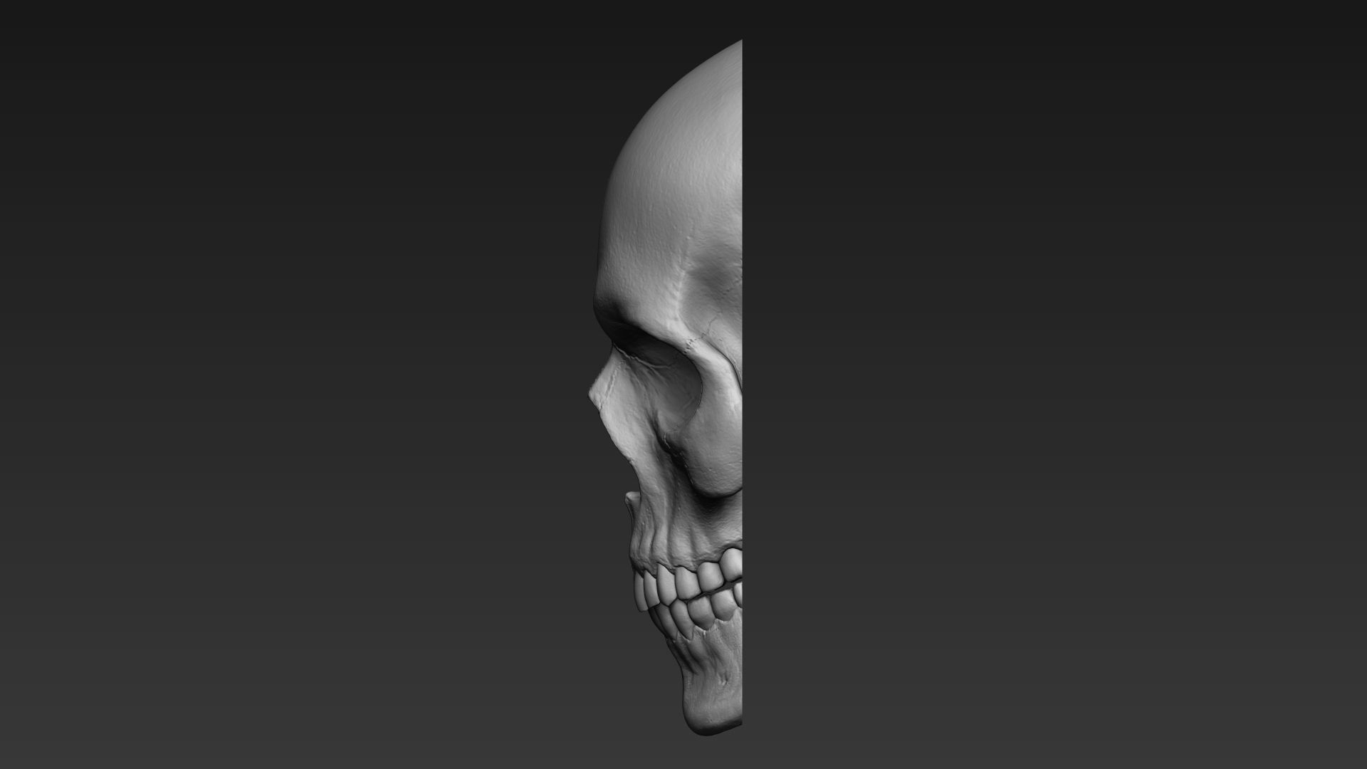 Skulls - Wall Decoration 3D print model_14