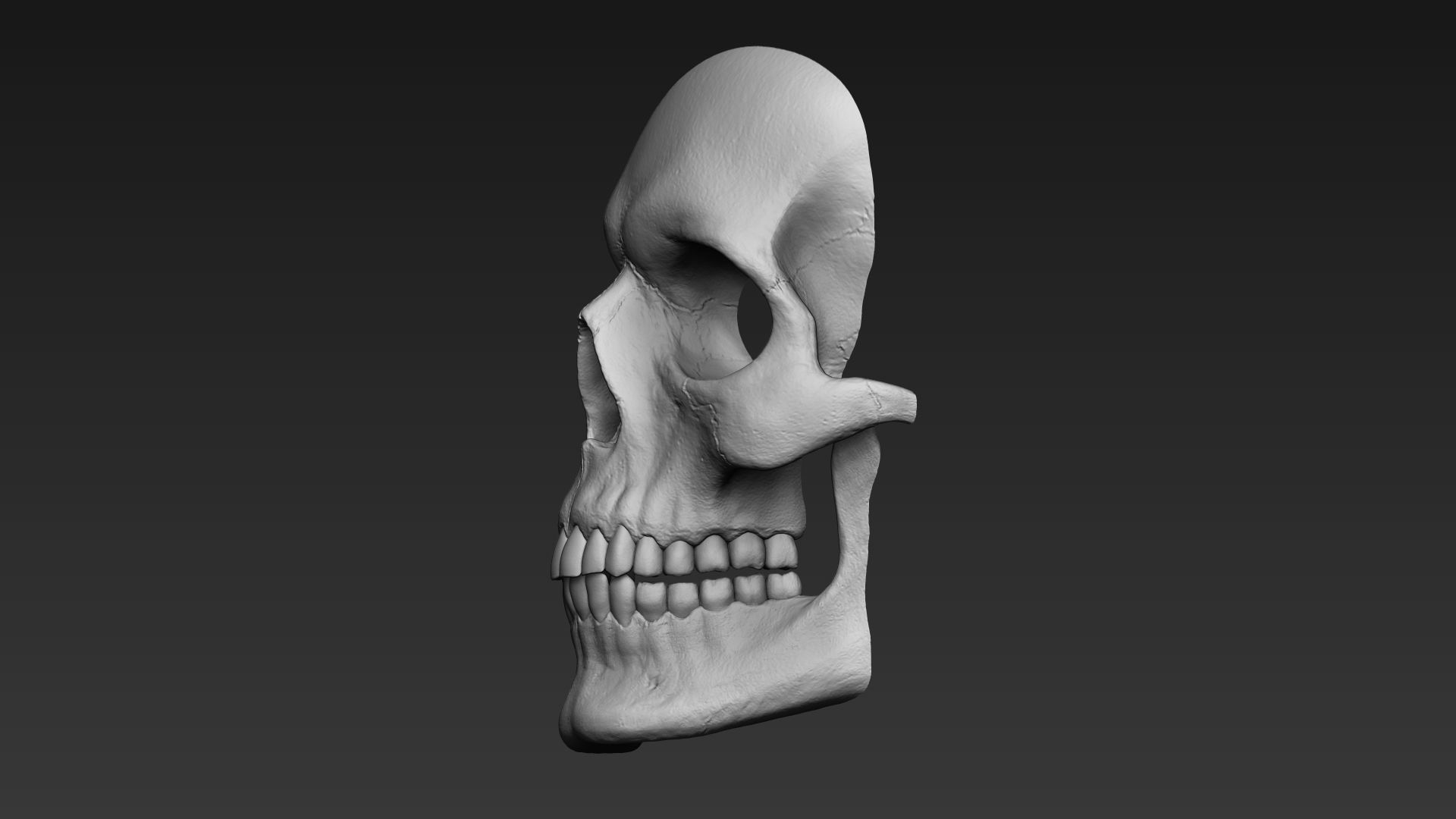 Skulls - Wall Decoration 3D print model_21