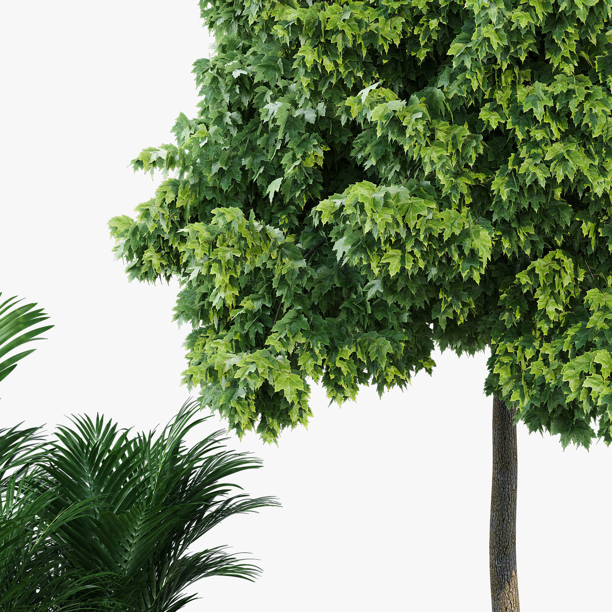 RING REVERSE 3D model_5