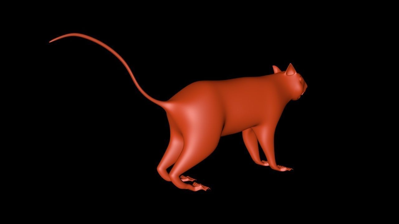 Squirrel 3D Model cat 3D model_4