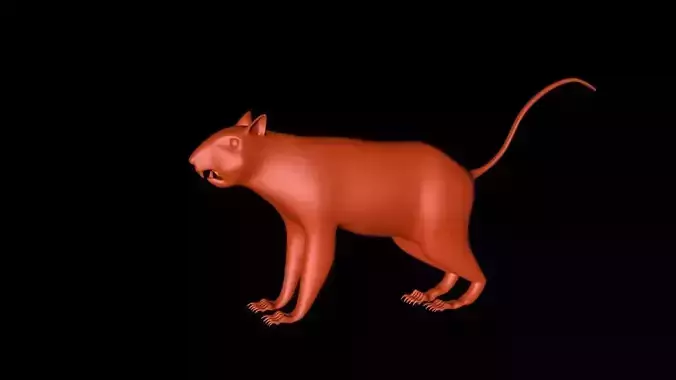 Squirrel 3D Model cat