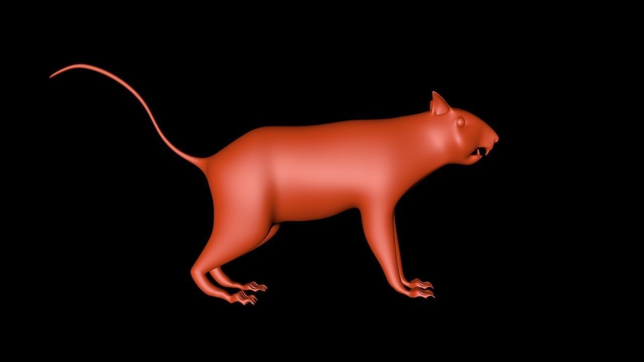 Squirrel 3D Model cat 3D model_2