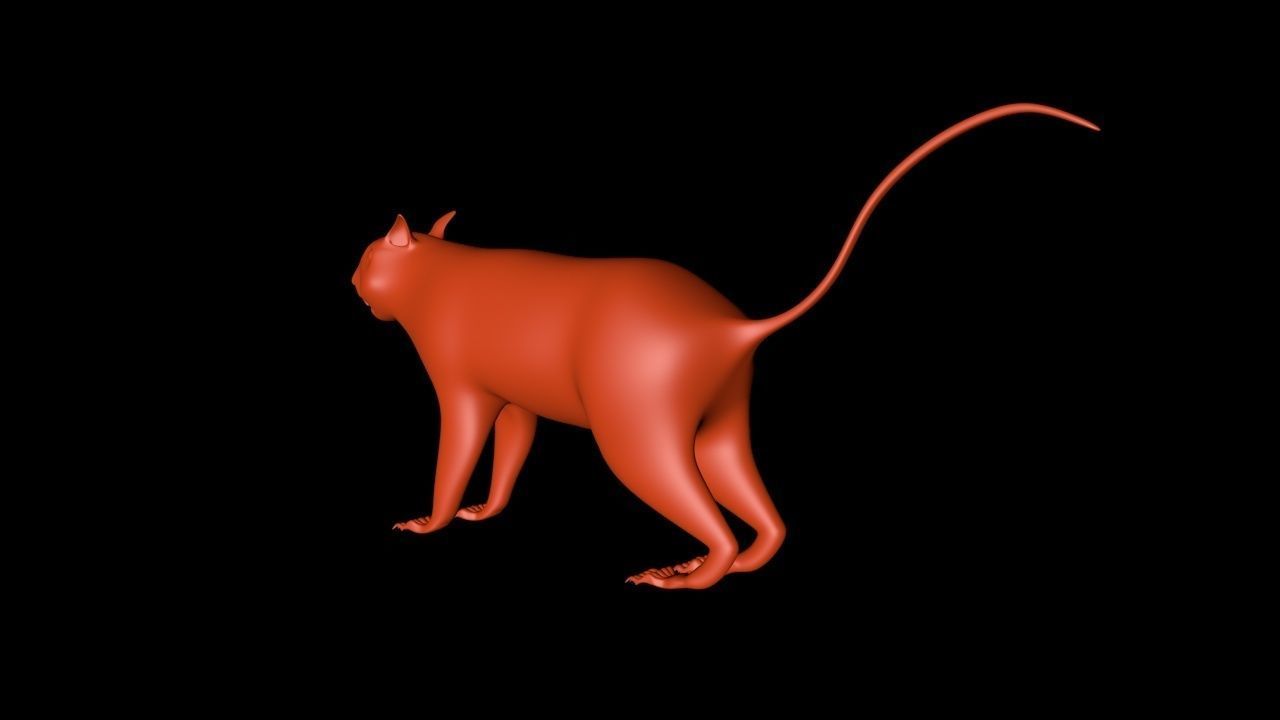 Squirrel 3D Model cat 3D model_1