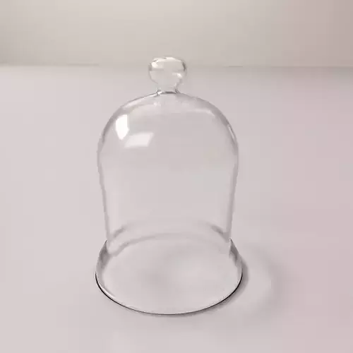 Cloche Bell Jar