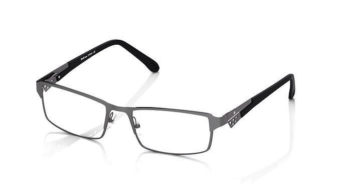 Eyeglasses for Men and Women 3D print model