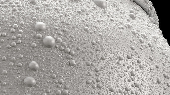 Standard 330ml Beverage Can with Dense Water Drops 3D model 5