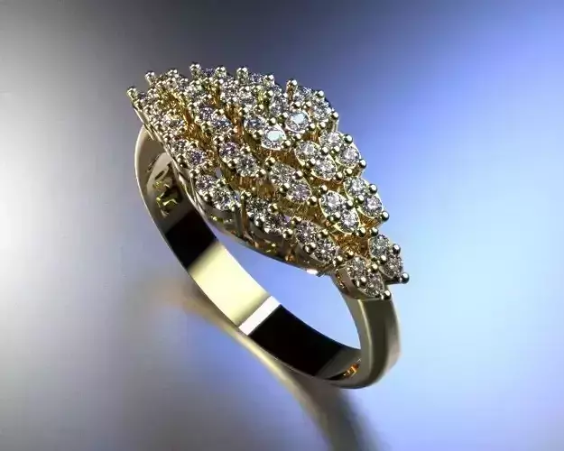 Beautiful Ring Silver Gold  Print