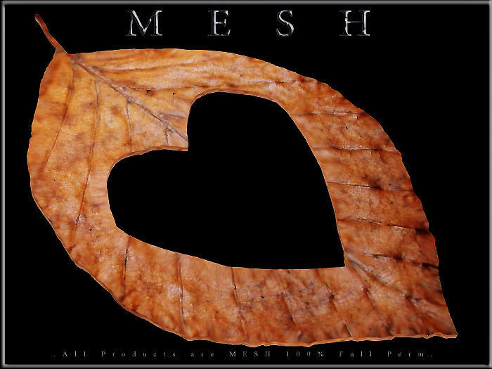 Heart Dry Leaf Low-poly 3D model_1