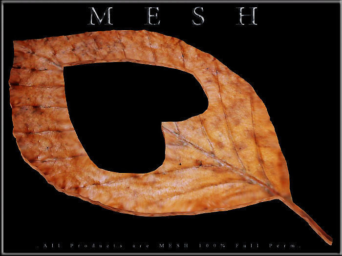 Heart Dry Leaf Low-poly 3D model_2