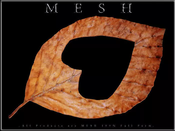 Heart Dry Leaf Low-poly 3D model_0