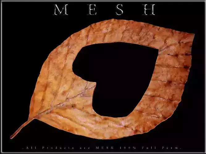 Heart Dry Leaf Low-poly 3D model