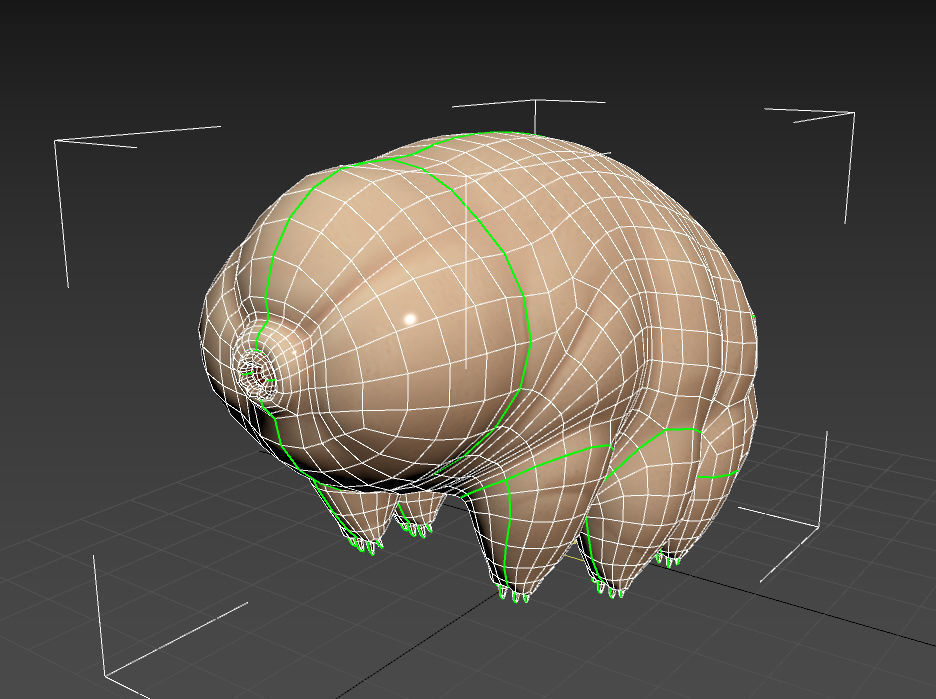 Tardigrade toy of worm Low-poly 3D model_13