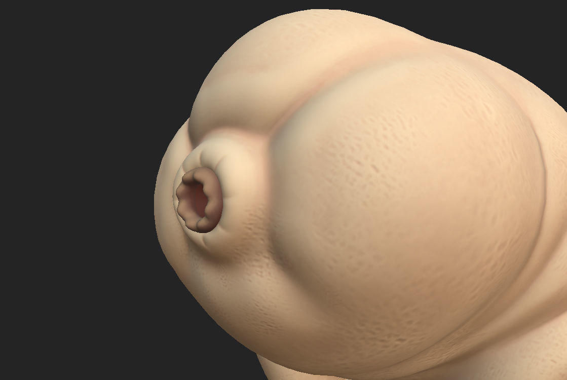 Tardigrade toy of worm Low-poly 3D model_9