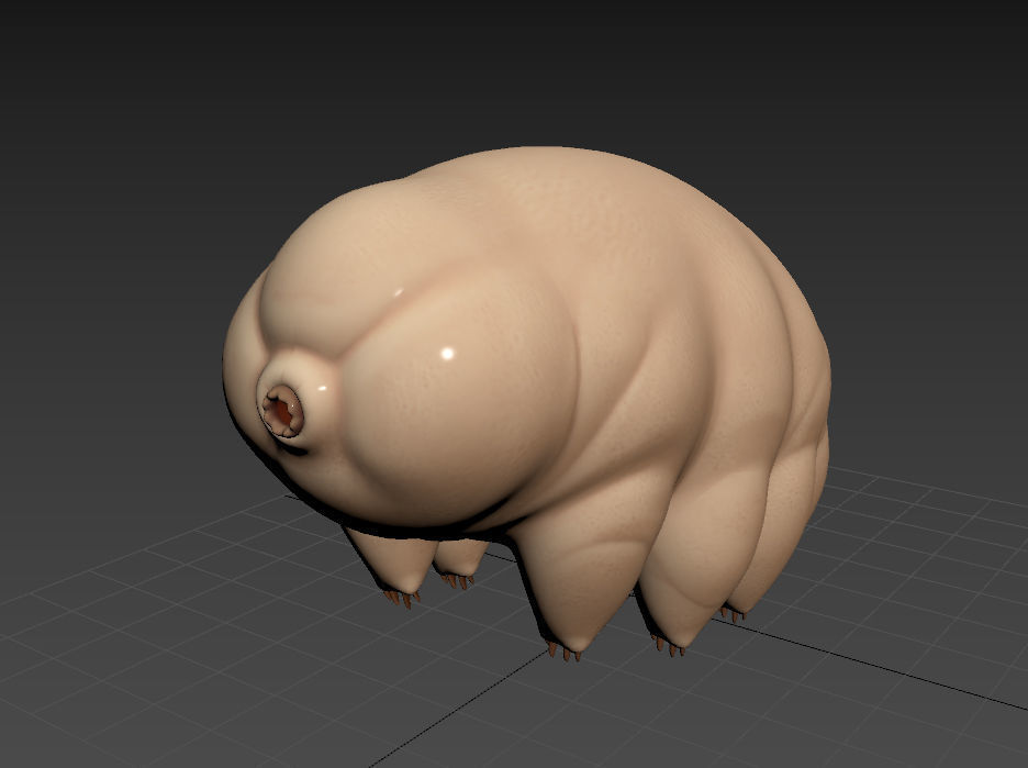 Tardigrade toy of worm Low-poly 3D model_11